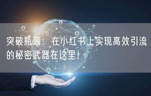 突破瓶颈：在小红书上实现高效引流的秘密武