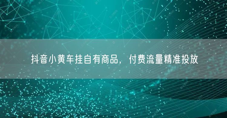 抖音小黄车挂自有商品，付费流量精准投放