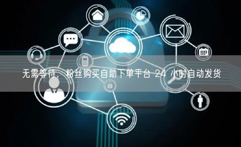无需等待，粉丝购买自助下单平台 24 小