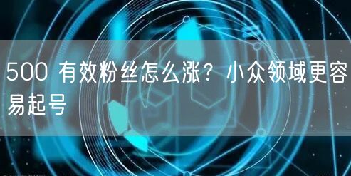 500 有效粉丝怎么涨？小众领域更容易起