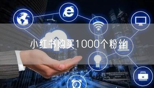 小红书购买1000个粉丝