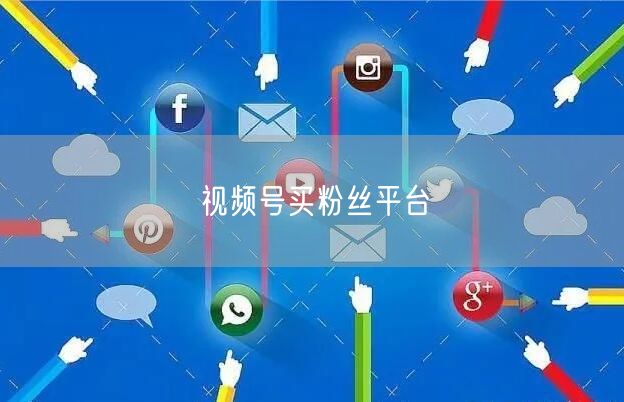 视频号买粉丝平台