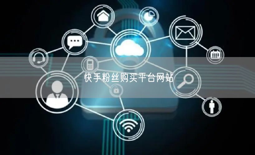 快手粉丝购买平台网站
