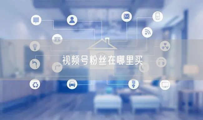 视频号粉丝在哪里买