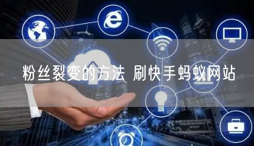 粉丝裂变的方法 刷快手蚂蚁网站
